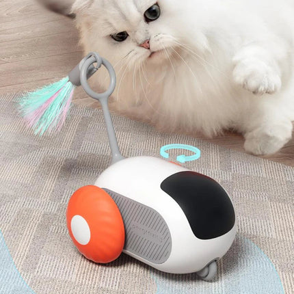 Collection image for: Essentiels pour chats