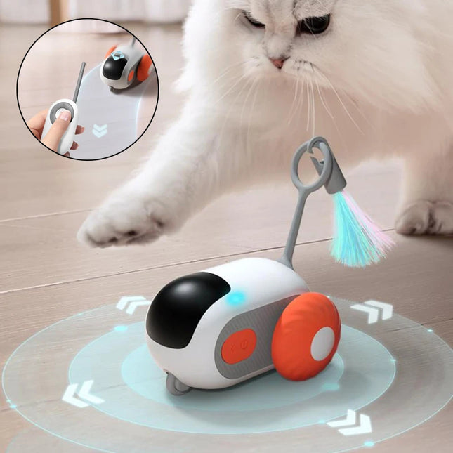 USB Rechargeable Remote Control Interactive Cat Toy Car for Fun