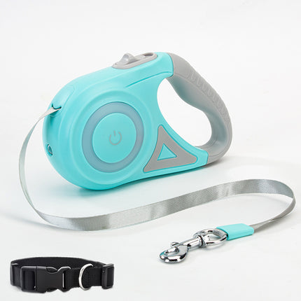 Set laisse rétractable et collier pour chiens et chats – Pour des promenades faciles et sécurisées